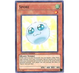 Spore