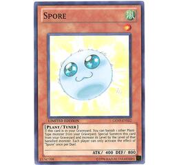 Spore