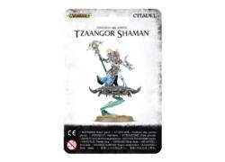 Tzeentch Arcanites Tzaangor Shaman