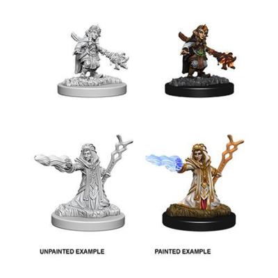 Female Gnome Wizard Nolzur's Marvelous Miniatures