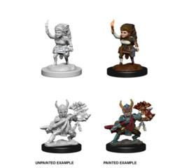 Female Halfling Fighter Nolzur's Marvelous Miniatures