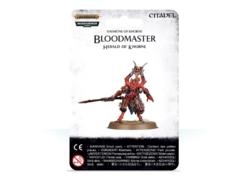 Bloodmaster Herald of Khorne