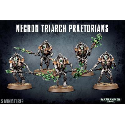 Necron Triarch Praetorians