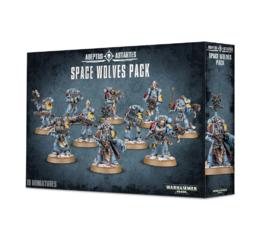 Space Wolves Grey Hunters