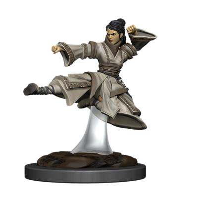 DD5 Icons Premium Mini: Human Female Monk