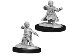 Wizkids Deepcuts: Halfling Male Monk