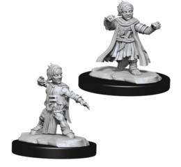 Wizkids Deepcuts: Halfling Male Monk