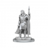 Wizkids Deepcuts: Brigante Celts