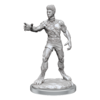 D&D Nolzur's Mini: Headless Monster
