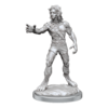 D&D Nolzur's Mini: Headless Monster
