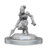 D&D Nolzur's Mini: Vegepygmies