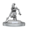 D&D Nolzur's Mini: Vegepygmies