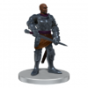 D&D 5th Icons: Voices of the Realms - Band of Heroes
