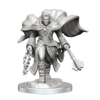 D&D Nolzur's Mini: Aasimar Male Cleric