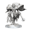 D&D Nolzur's Mini: Aasimar Male Cleric