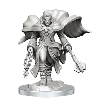 D&D Nolzur's Mini: Aasimar Male Cleric