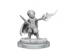 D&D Nolzur's Mini: Halfling Wizards