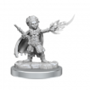 D&D Nolzur's Mini: Halfling Wizards