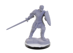 D&D Nolzur's Mini: Reborn Paladin & Warlock