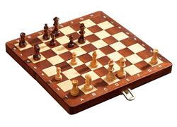 Deluxe Chess Set Magnetic