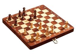 Deluxe Chess Set Magnetic