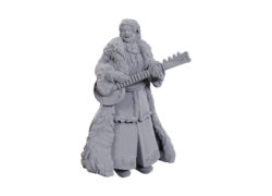 D&D Nolzur's Marvelous Miniatures: Ansalon Human Bard