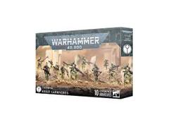 T'au Empire: Kroot Carnivore Squad