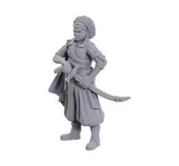 D&D Nolzur's Mini: Ansalon Human Rogue
