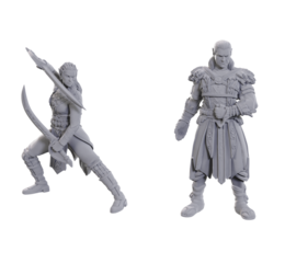 D&D Nolzur's Mini: Jaheira & Halsin