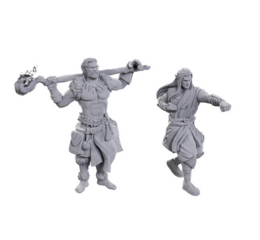 D&D Nolzur's Mini: Archdruid & Martial Arts Adept