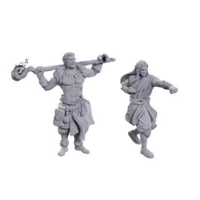 D&D Nolzur's Mini: Archdruid & Martial Arts Adept