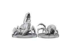 Pathfinder: Cave Scorpion & Hunting Spider