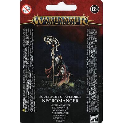 Soulblight Gravelords: Necromancer