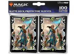 Standard (Magic-Pokemon)