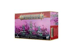 Disciples Of Tzeentch: Tzaangor Enlightened