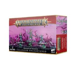 Disciples Of Tzeentch: Tzaangor Enlightened