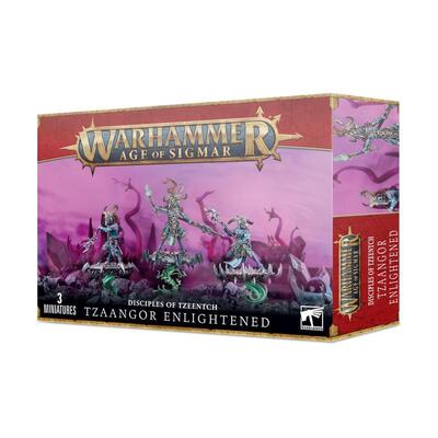 Disciples Of Tzeentch: Tzaangor Enlightened