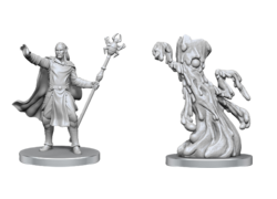 D&D Nolzur's Mini: Drow Mage & Yochlol