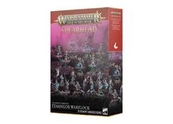 Spearhead: Tzaangor Warflock