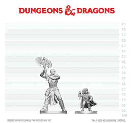 D&D Nolzur's Mini: Goliath Barbarian & Halfling Rogue