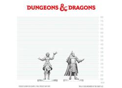 D&D Nolzur's Mini: Knight & Mage Apprentice