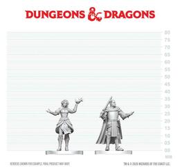 D&D Nolzur's Mini: Knight & Mage Apprentice