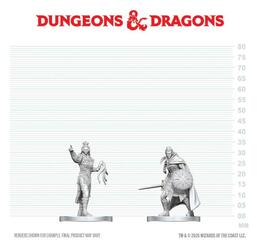 D&D Nolzur's Mini: Drow Elite Warrior & Drow Priestess of Lolth