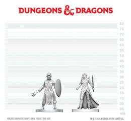 D&D Nolzur's Mini: Black Gauntlet & Zhentilar Paladin of Bane