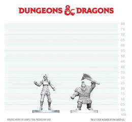 D&D Nolzur's Mini: Cultist of Bane & Dwarf Zhentilar Soldier