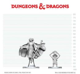 D&D Nolzur's Mini: Gnome Warlock & Aasimar Wizard