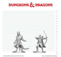 D&D Nolzur's Mini: Elf Ranger & Dragonborn Monk