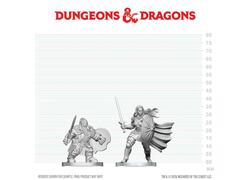 D&D Nolzur's Mini: Dwarf Fighter & Orc Paladin