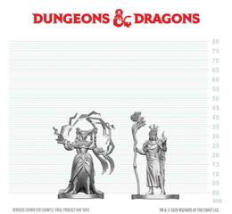 D&D Nolzur's Mini: Human Druid & Elf Sorcerer