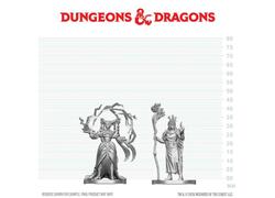 D&D Nolzur's Mini: Human Druid & Elf Sorcerer